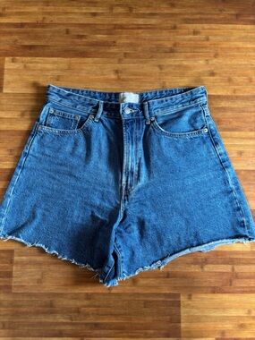 Everlane A Line Shorts in Medium Blue